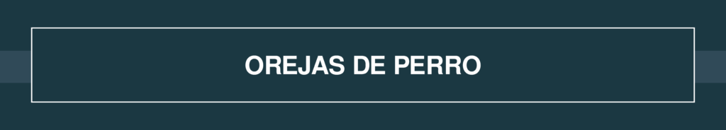 Guia preoperatoria 108